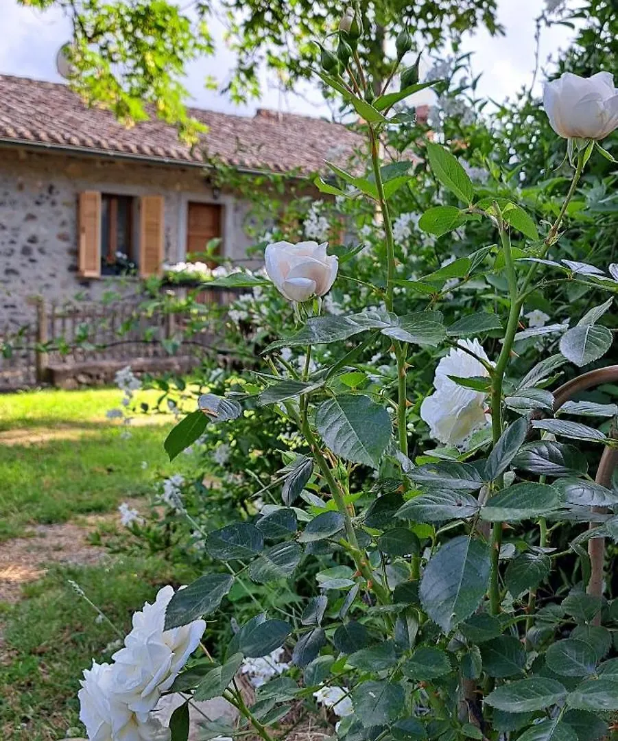 Hotel Animrus Radicofani Penzion